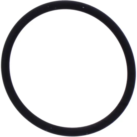 Exhaust gasket o-ring M753504500094
