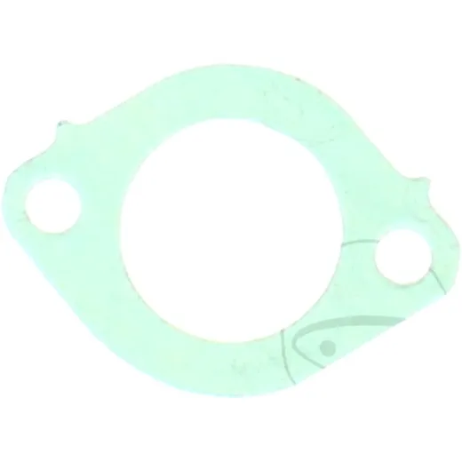 Gasket intake