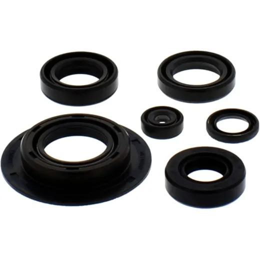 Shaft seal Set