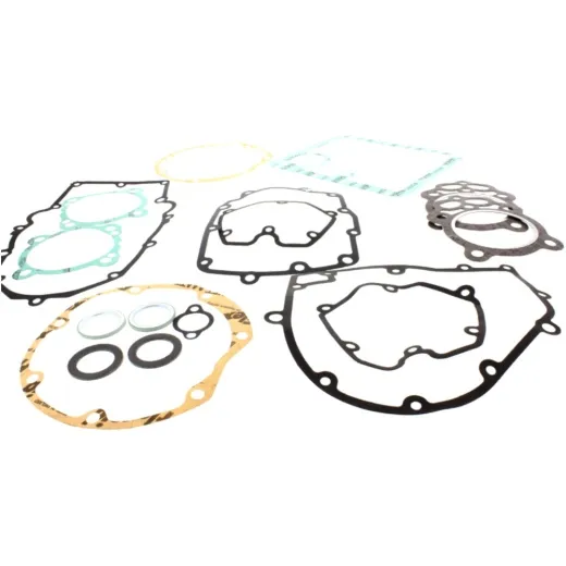 Complete gasket / seal kit P400190850220