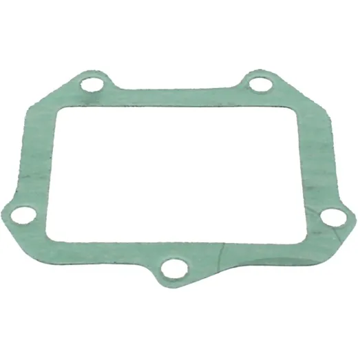 Gasket intake S410010010002