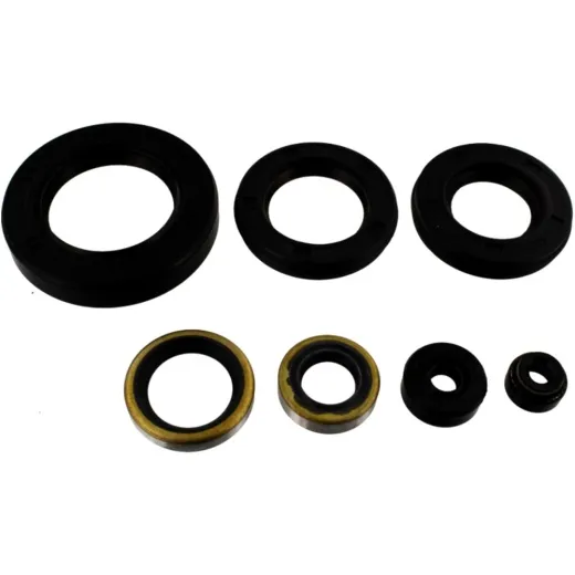 Shaft seal Set OSL425R