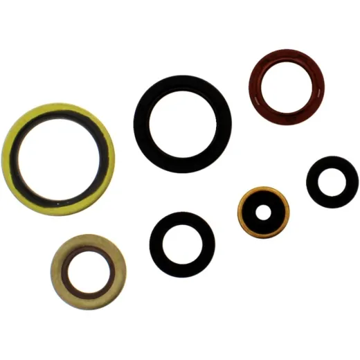 Shaft Seal Set P400270400083