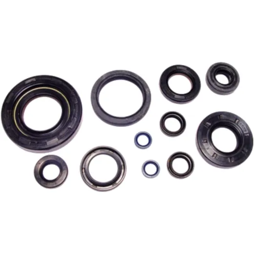 Engine oil seal kit P400485400035