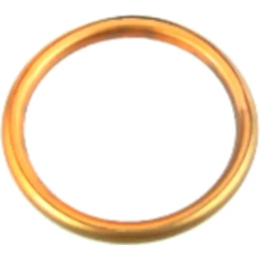 Exhaust gasket (orig spare part) 110610013