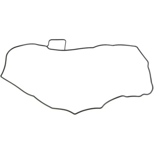 Valve cover gasket (orig spare part) 110610007