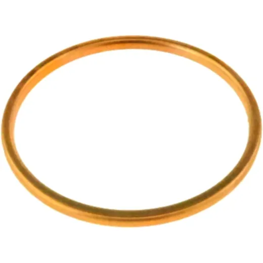 Dicht exhaust verbind (orig spare part) 110601213