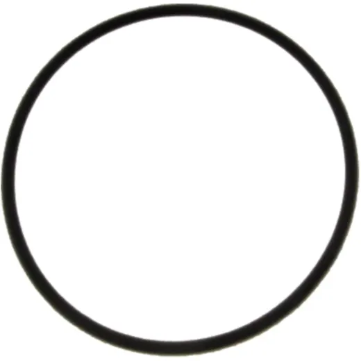 O-ring for thermostat (orig spare part)