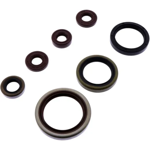 Shaft seal set athena P400462400001