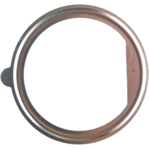 Exhaust gasket (orig spare part) 18217717848