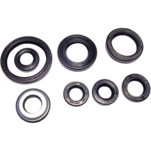 Engine oil seal kit P400485400041