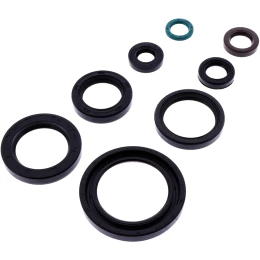 Shaft seal set athena P400210400319