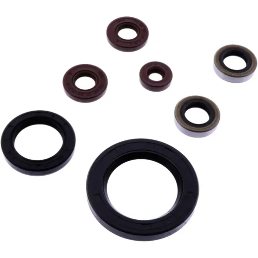 Shaft seal set athena P400462400002