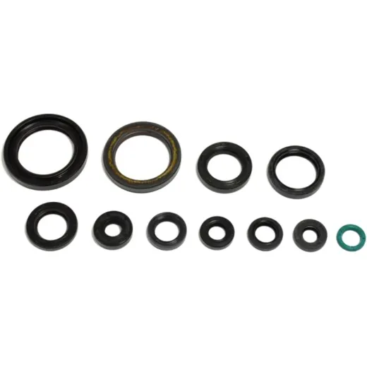 Engine oil seal kit P400210400095