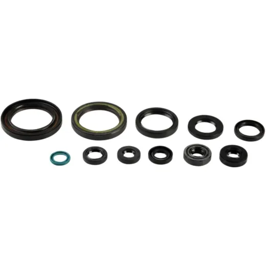 Engine oil seal kit P400210400064