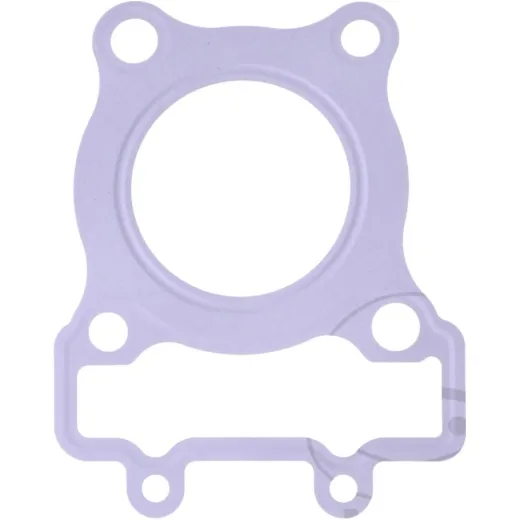 Cylinder head gasket (orig spare part) 110041335