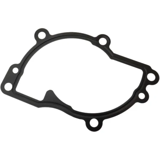 Dicht water pump cover (orig spare part) 975833