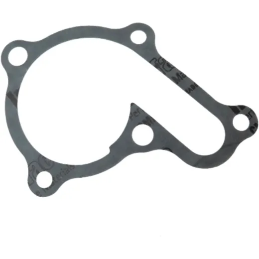 Dicht water pump cover (orig spare part) 976590