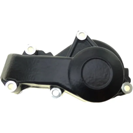 Dicht water pump cover (orig spare part) 976623