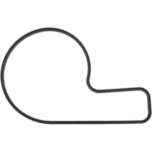 Dicht water pump cover (orig spare part) 976628