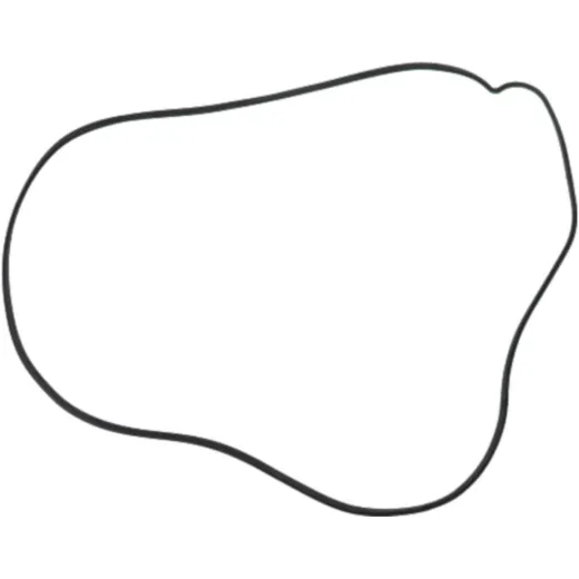 Clutch cover gasket (orig spare part) 976655