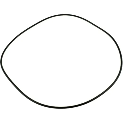O-Ring 979899