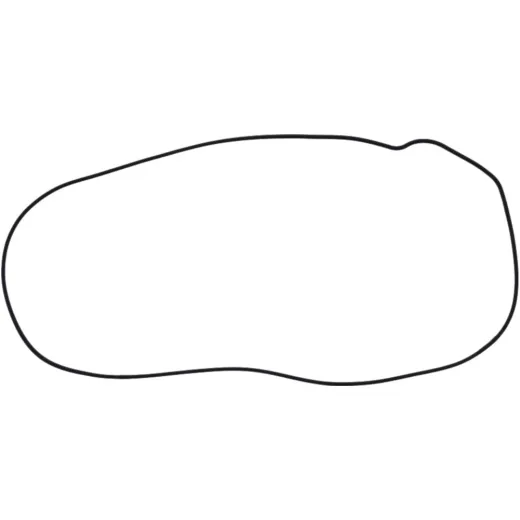 Clutch cover gasket (orig spare part) 1013379