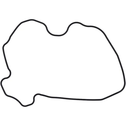 Valve cover gasket (orig spare part) 1017026
