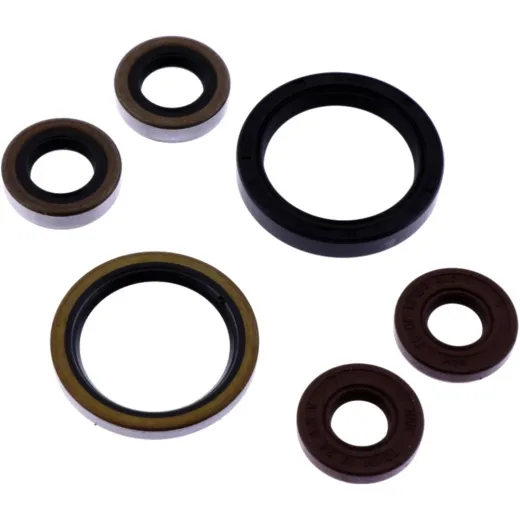 Shaft seal set athena P400462400006