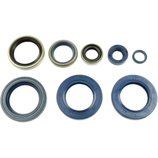 Engine oil seal kit P400270400006