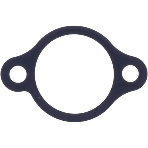 Cam chain tensioner gasket athena 1040412