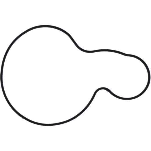 Water pump cover gasket athena 1040418