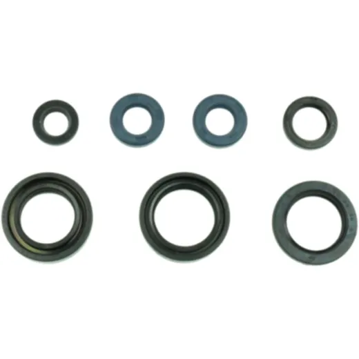 Shaft seal set athena P400485400210