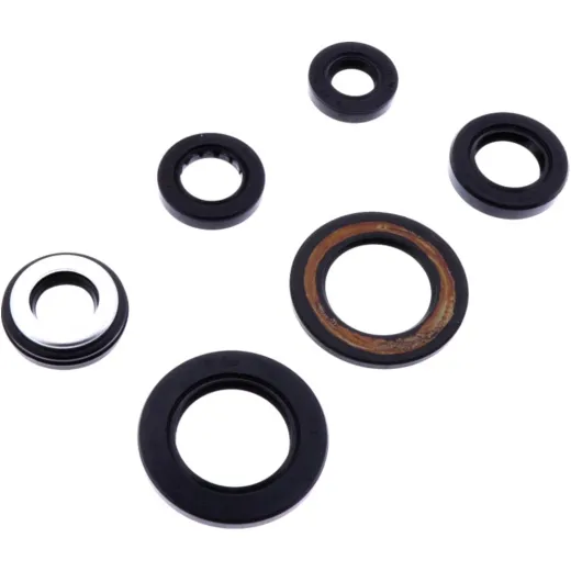 Shaft seal set athena P400485400052