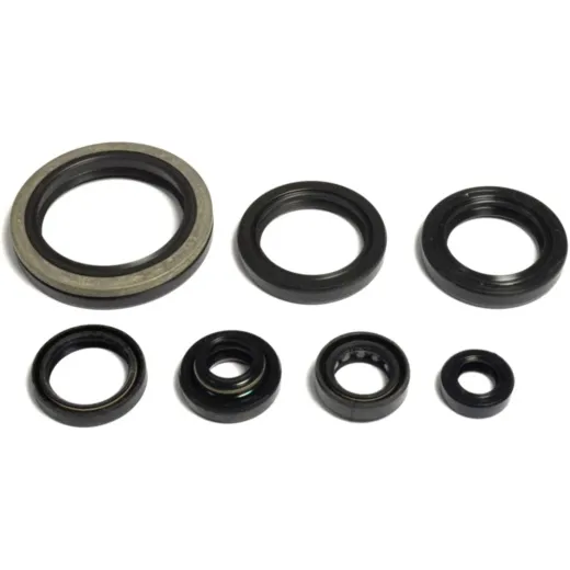 Shaft seal set athena P400510400032