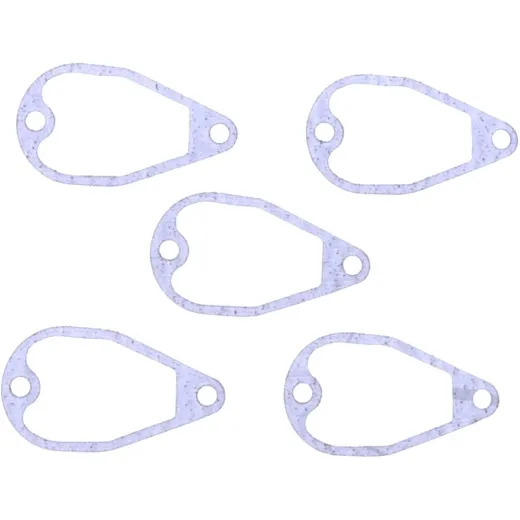 Valve cover gasket in athena S410195021010