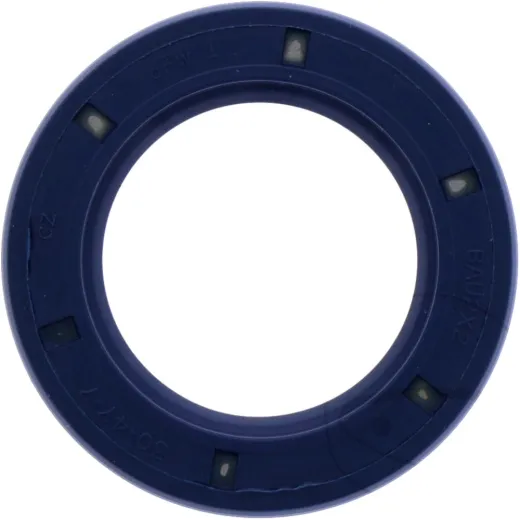 Shaft seal 12000147B