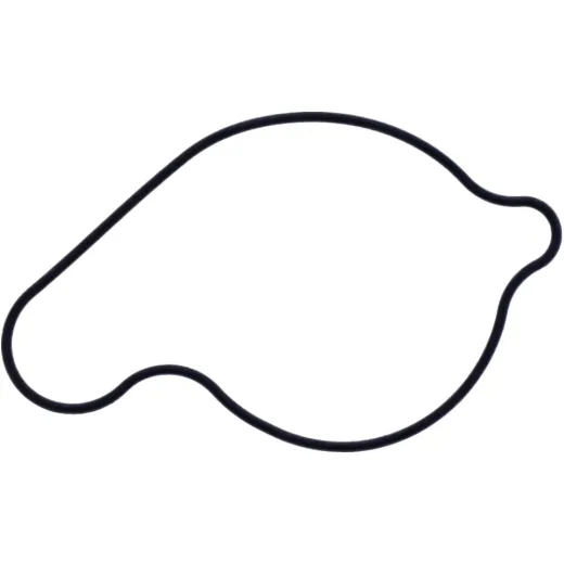 Water pump cover gasket oe spare part 1109034