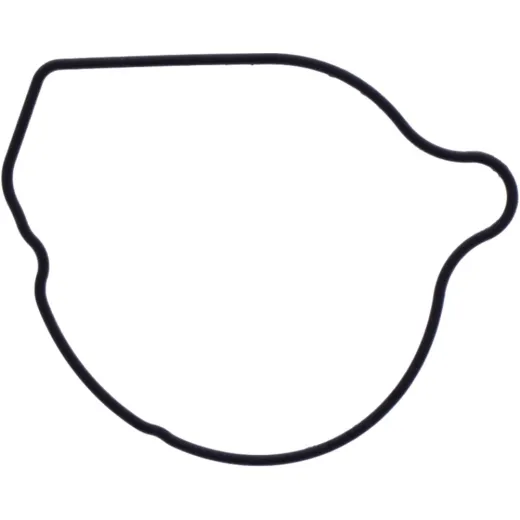 Dichtung Wasserpumpe Deckel Originalersatzteil 1109038