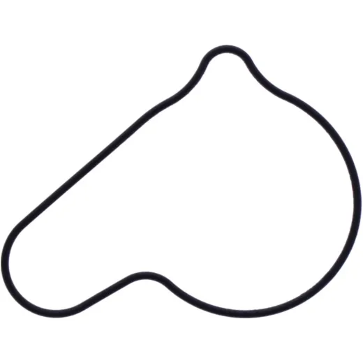 Water pump cover gasket oe spare part 1109042