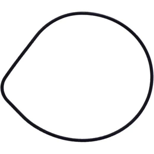 Water pump cover gasket oe spare part 1109060