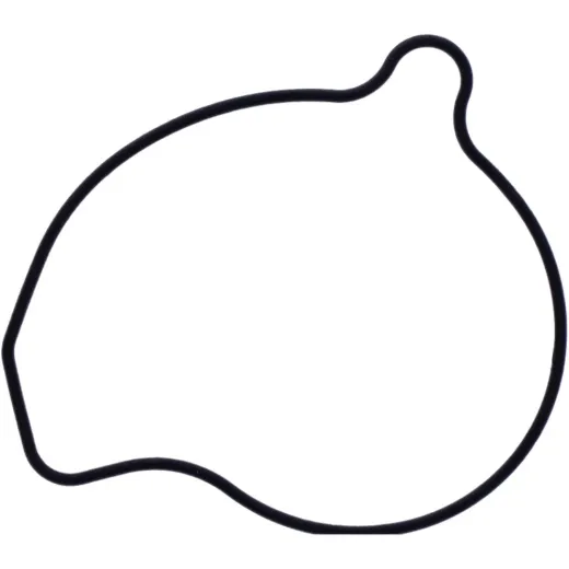 Water pump cover gasket oe spare part 1109069