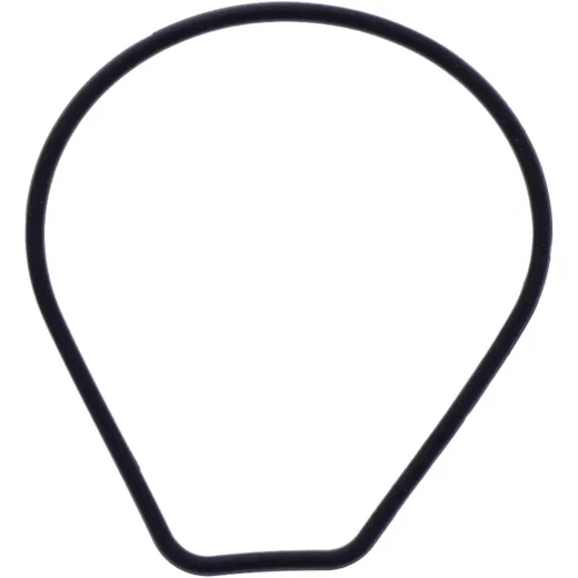Dichtung Wasserpumpe Deckel Originalersatzteil 1109119