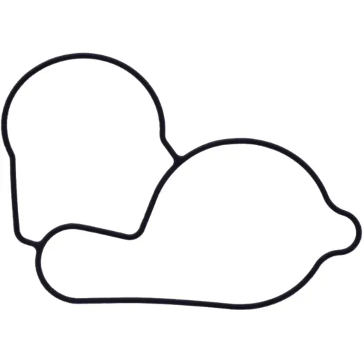 Water pump cover gasket oe spare part 1109133
