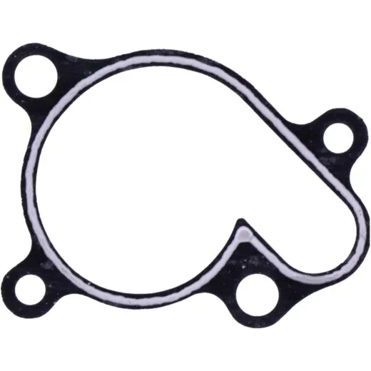 Water pump cover gasket oe spare part 1109140