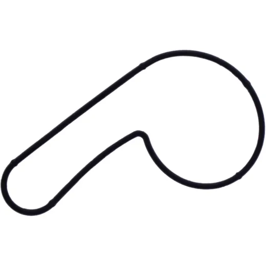 Water pump cover gasket oe spare part 1109146