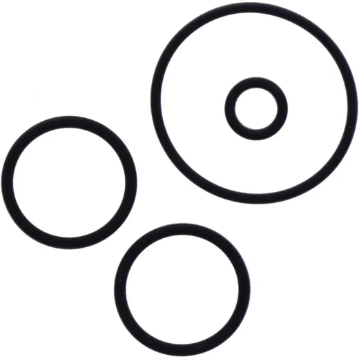 O-ring kit (orig spare part)