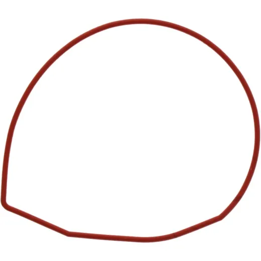 Water pump cover gasket oe spare part 1109163