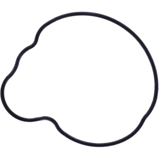Water pump cover gasket oe spare part 1109165