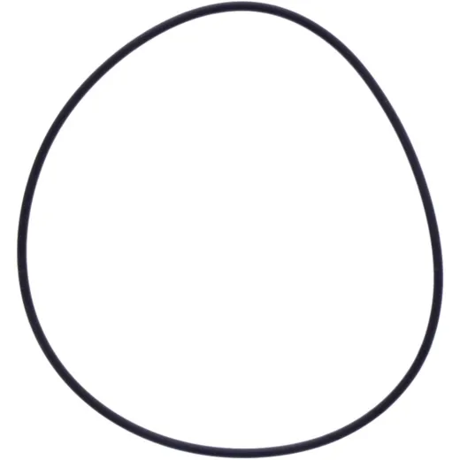 O-ring (orig spare part) 1109186
